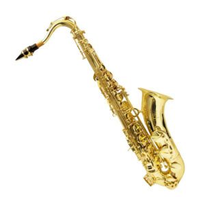 SAXOFON TENOR Bb COMBINADO CTS-100L/N CENTURY MOD. CNSX011