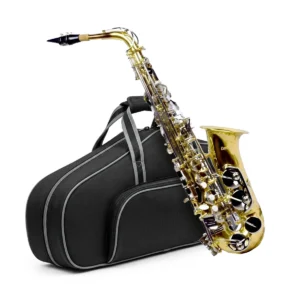Saxofón alto combinado Mib Century CNSX007 dorado y niquelado