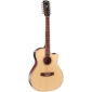 docerola cort GA-MEDX-12