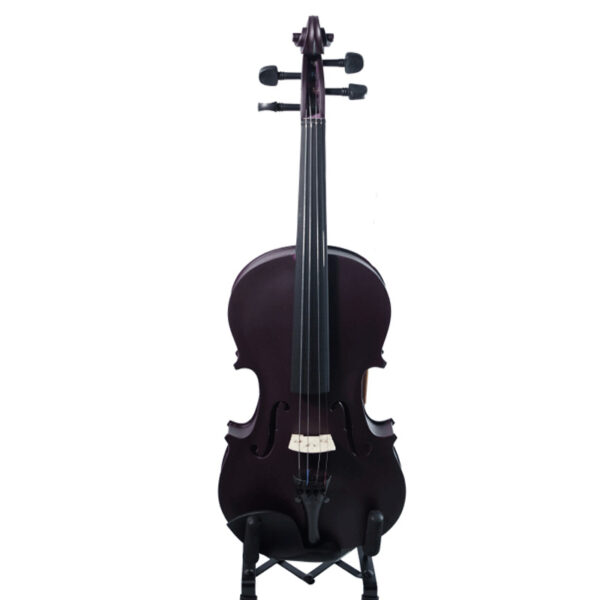 VIOLIN 4/4 ANDOLINI ESPECIAL