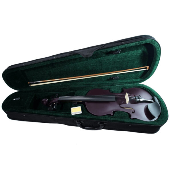 VIOLIN 4/4 ANDOLINI ESPECIAL