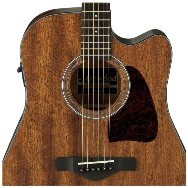 Guitarra Electroacustica Ibanez AW54CE-OPN