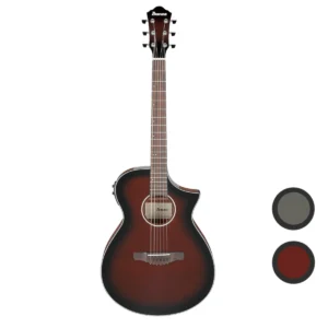 Guitarra electroacústica Ibanez AEWC11
