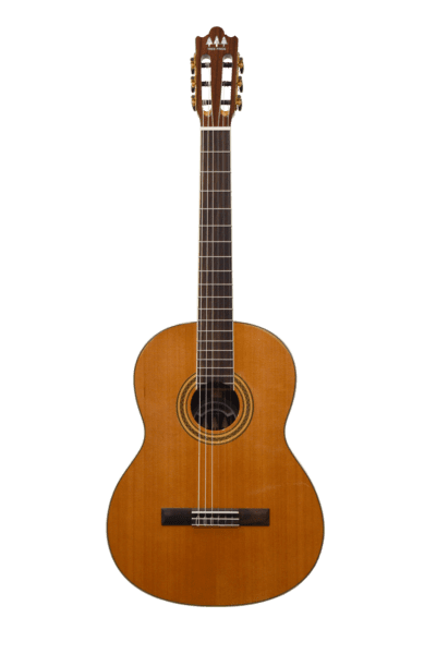 Guitarra Clásica Tres Pinos TPCG-0900 NT