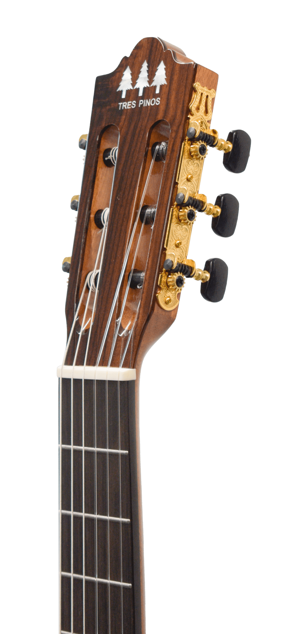 Guitarra Clásica Tres Pinos TPCG-1200 NT - Image 3