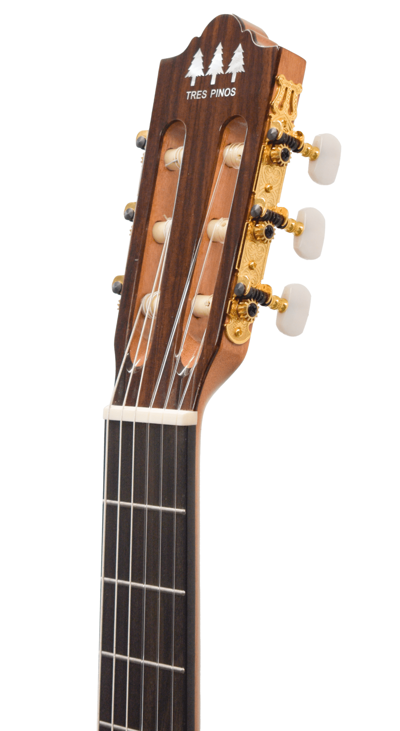 Guitarra Clásica Tres Pinos TPCG-1300 NT - Image 3