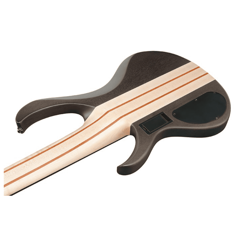 BAJO ELECTRICO IBANEZ ''BTB'' DE 6 CUERDAS GRIS TRANSPARENTE MATE MOD. BTB606-TGF - Image 4