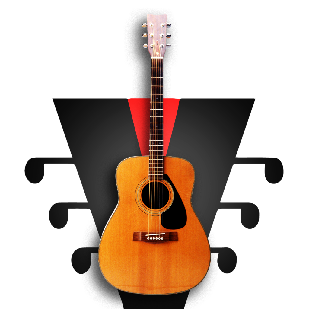 Selección de guitarras acústicas de 6 y 12 cuerdas en estantería de madera.