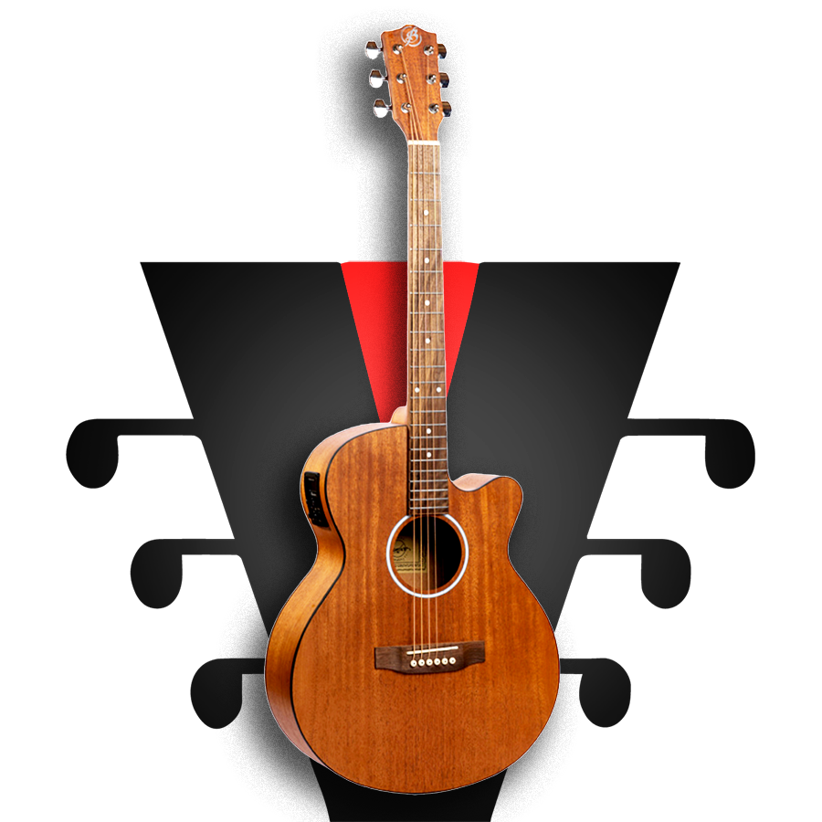 Colección de guitarras electroacústicas de 6 y 12 cuerdas en Servimusic