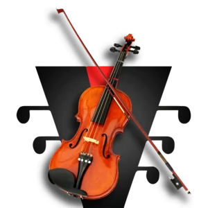Violín