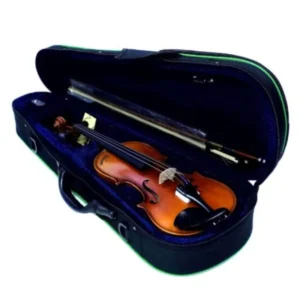 Violin Sandner SV-4-4/4 | Madera Solida, con Arco, Barbada y Estuche