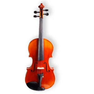 Violin Sandner CV-2 4/4 | Madera Solida, con Arco, Barbada y Estuche