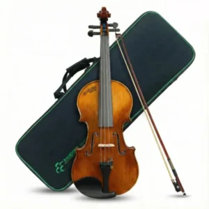 Violín Sandner CV-6-4/4 | Madera Solida, con Arco, Barbada y Estuche