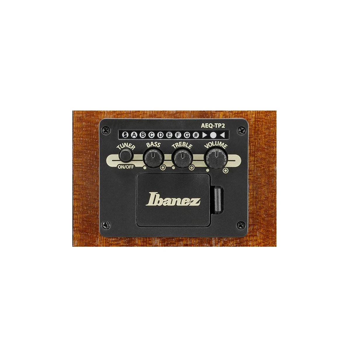 Guitarra Electroacústica Ibanez AAM50C