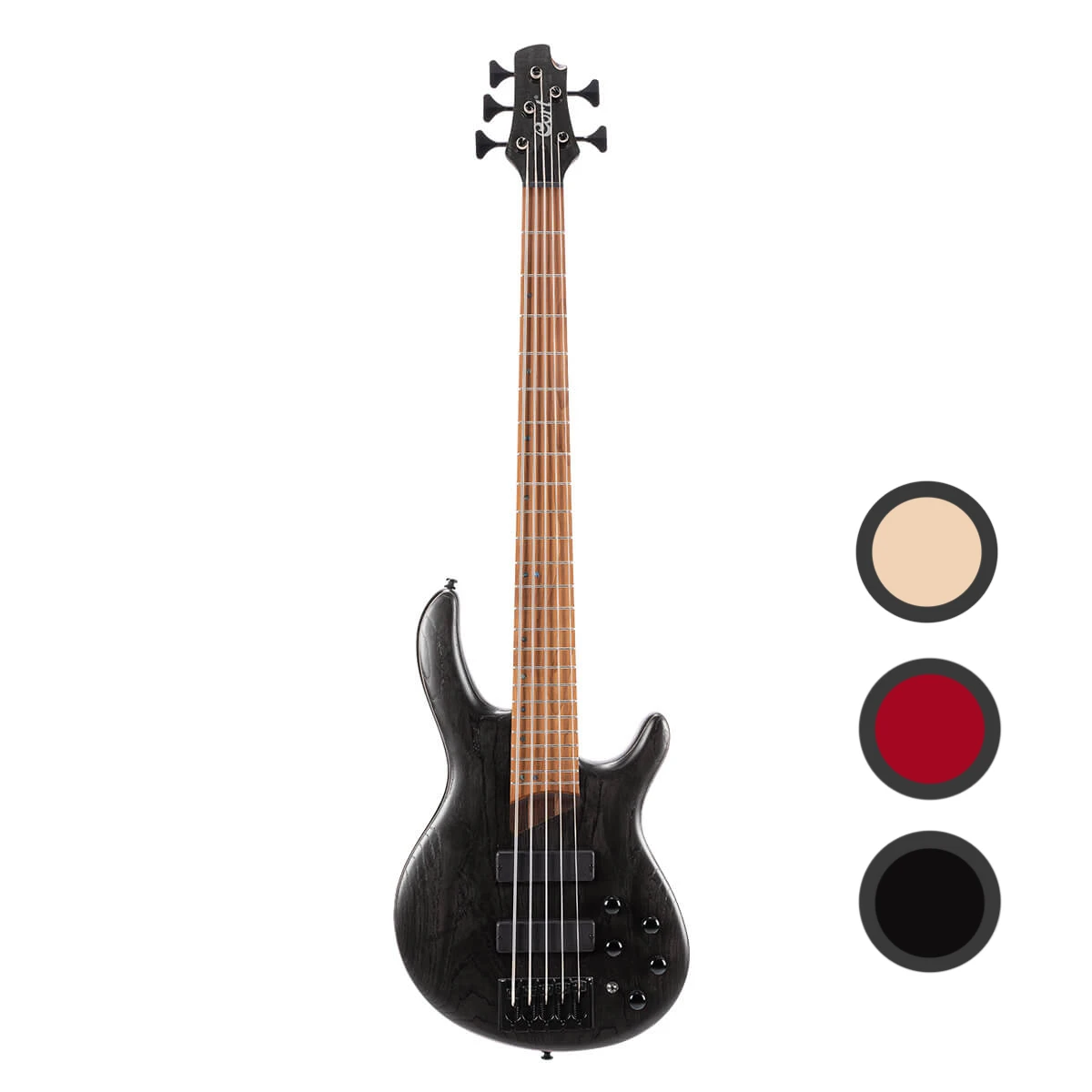 Bajo Eléctrico de 5 Cuerdas Cort Artisan B5 Element | Bartolini® MK-1 Preamp