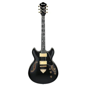 Guitarra eléctrica semihueca Ibanez Artcore Expressionist AS93SP-BK acabado Black Gloss