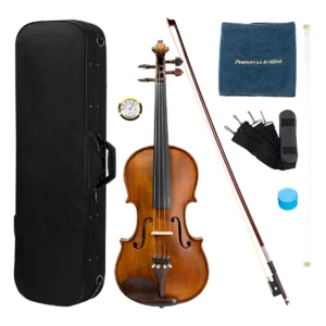 Violín profesional 4/4 Amadeus Cellini MV200-1